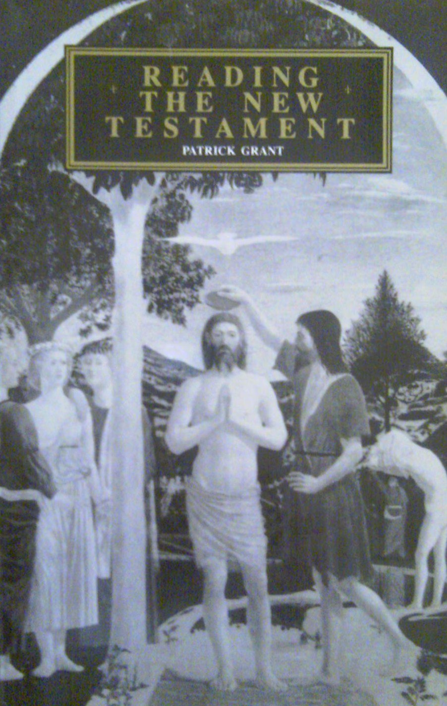 Reading the New Testament,Used