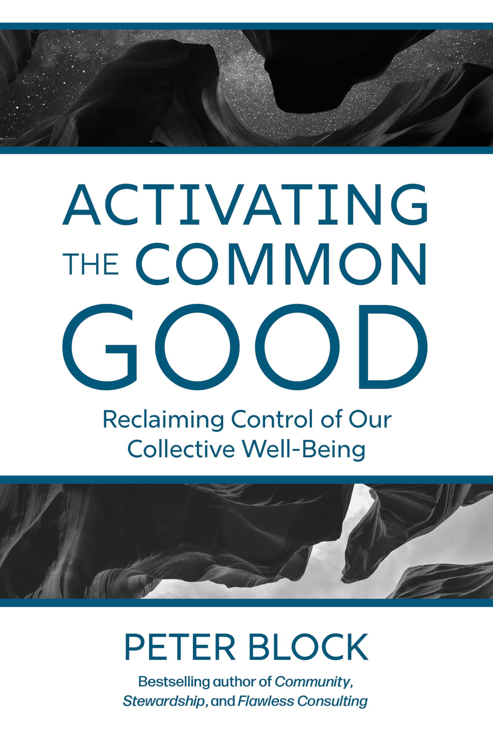Activating The Common Good: Reclaiming Control Of Our Collective Wellbeing,Used