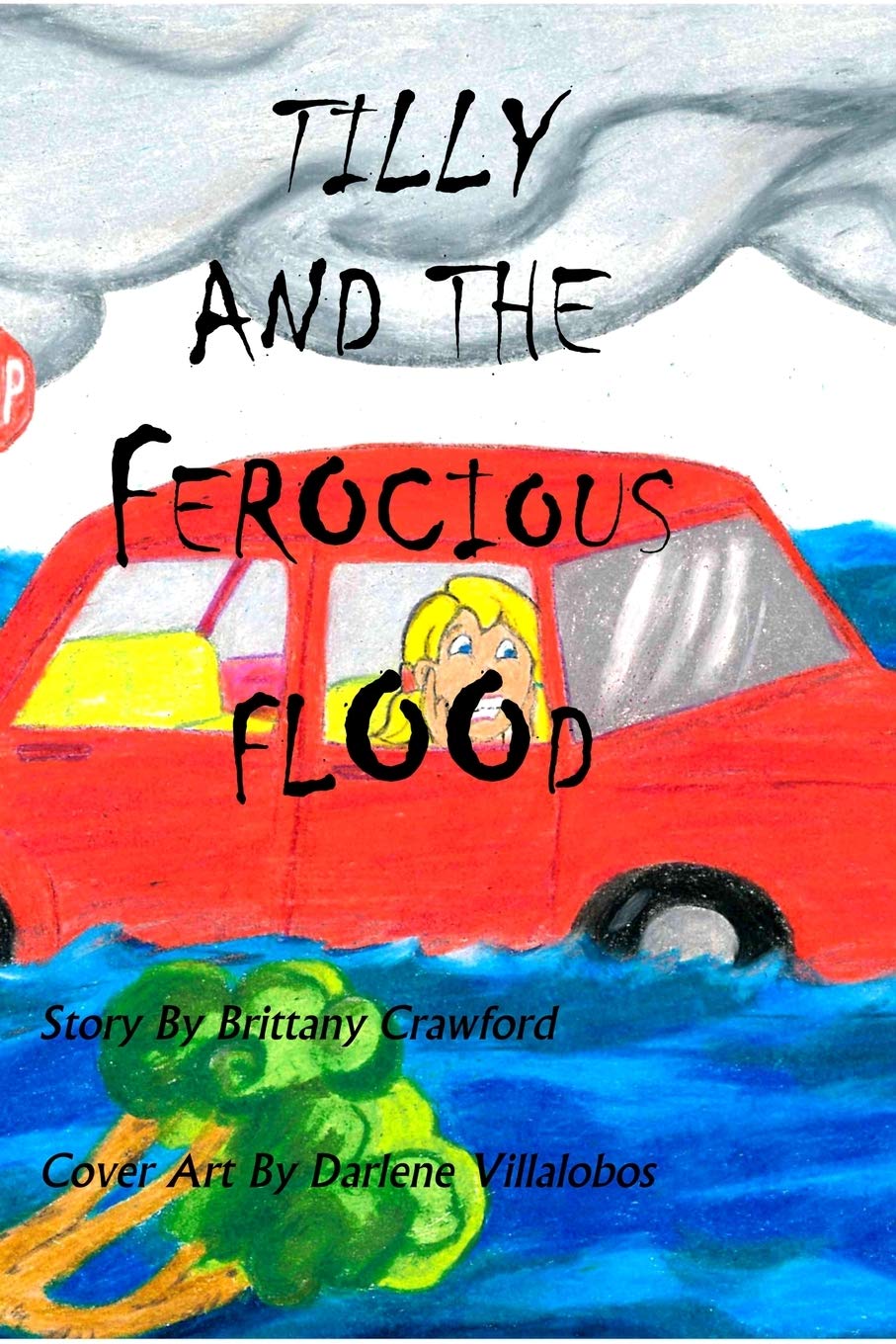 Tilly And The Ferocious Flood,Used