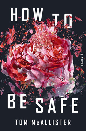 How to Be Safe: A Novel,New