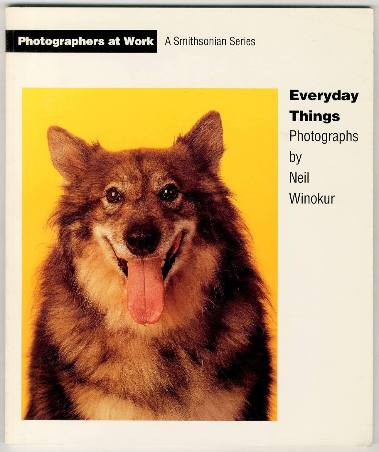 EVERYDAY THINGS (Photographers at Work),Used