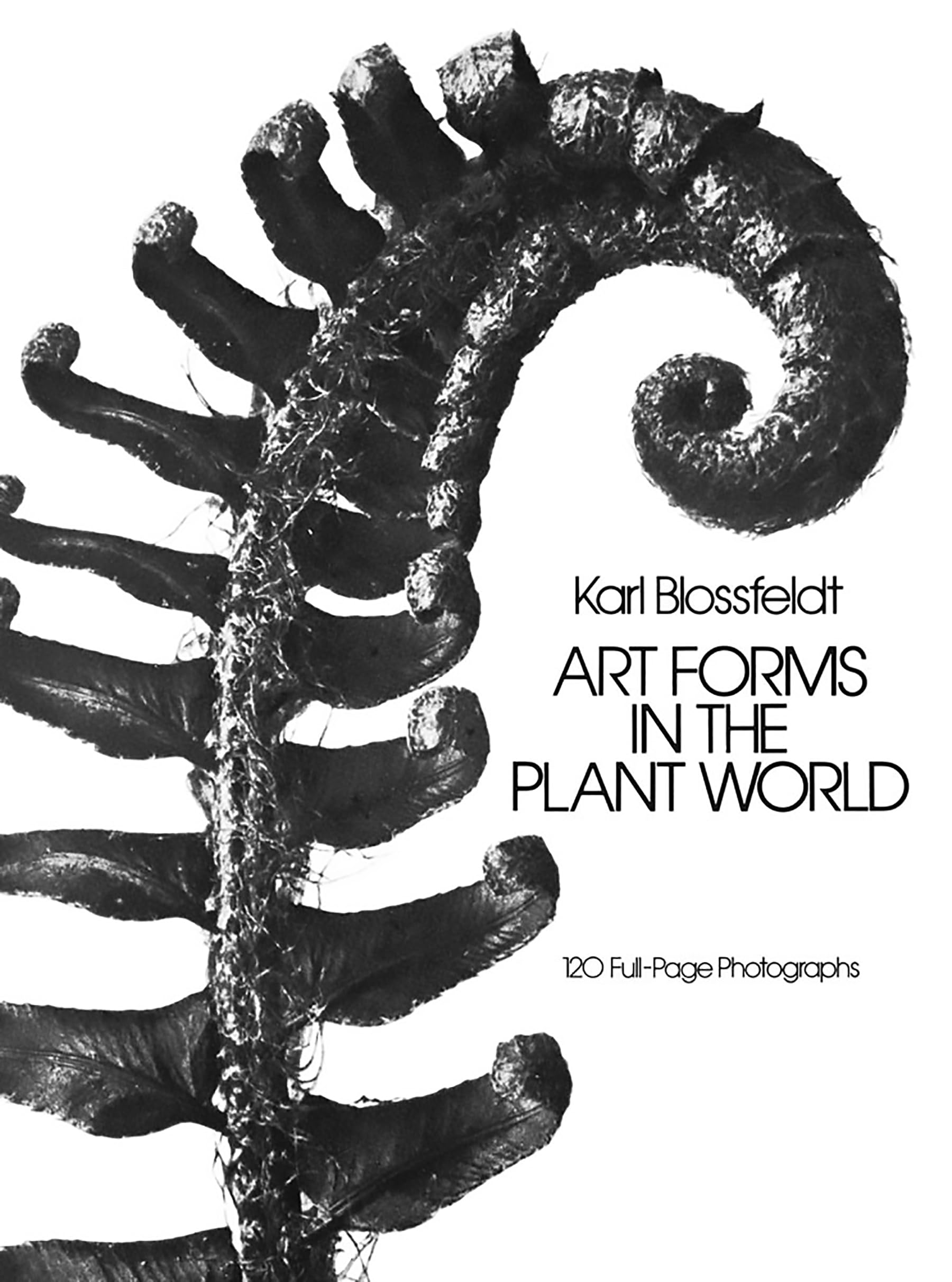 Art Forms In The Plant World: 120 Fullpage Photographs (Dover Pictorial Archive),Used