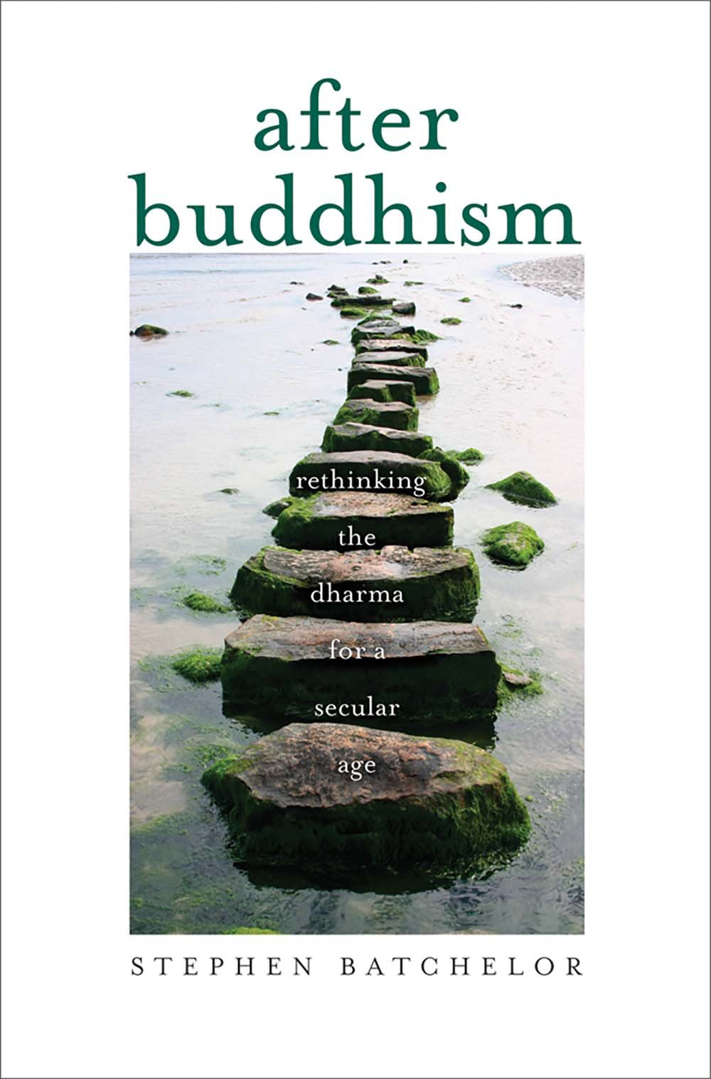 After Buddhism: Rethinking the Dharma for a Secular Age,New