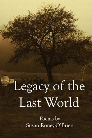 Legacy of the Last World,Used