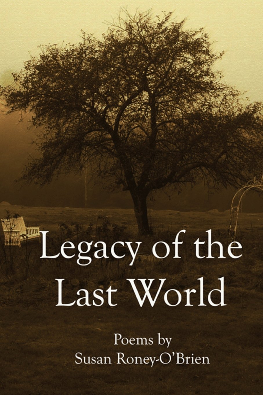 Legacy of the Last World,Used