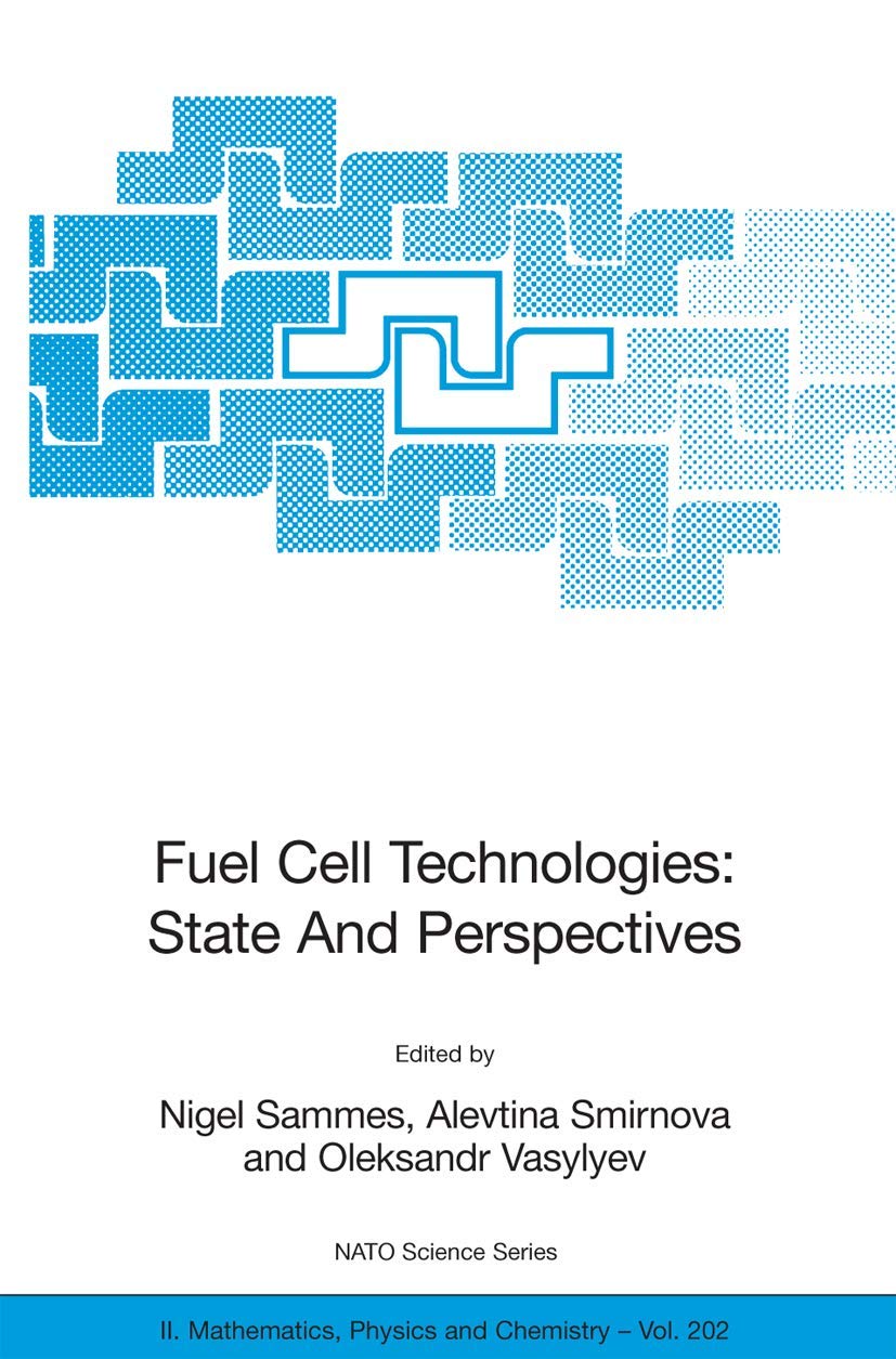 Fuel Cell Technologies: State And Perspectives: Proceedings of the NATO Advanced Research Workshop on Fuel Cell Technologies: St,Used