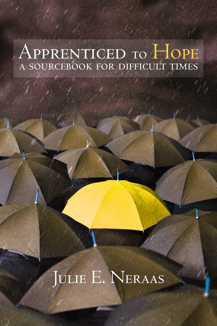 Apprenticed To Hope: A Sourcebook For Difficult Times (Living Well),New