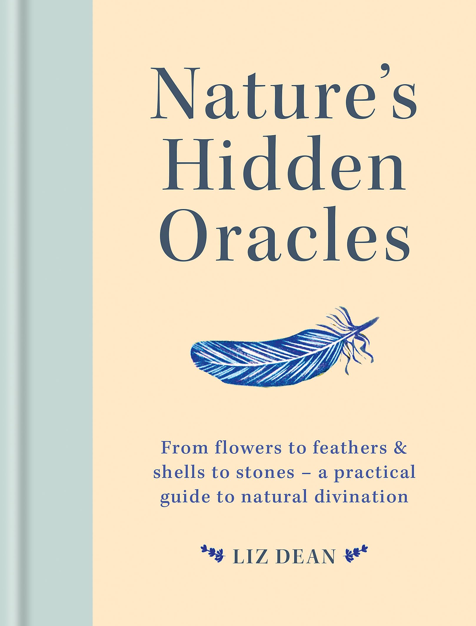 Natures Hidden Oracles: From flowers to feathers & shells to stones  a practical guide to natural divination