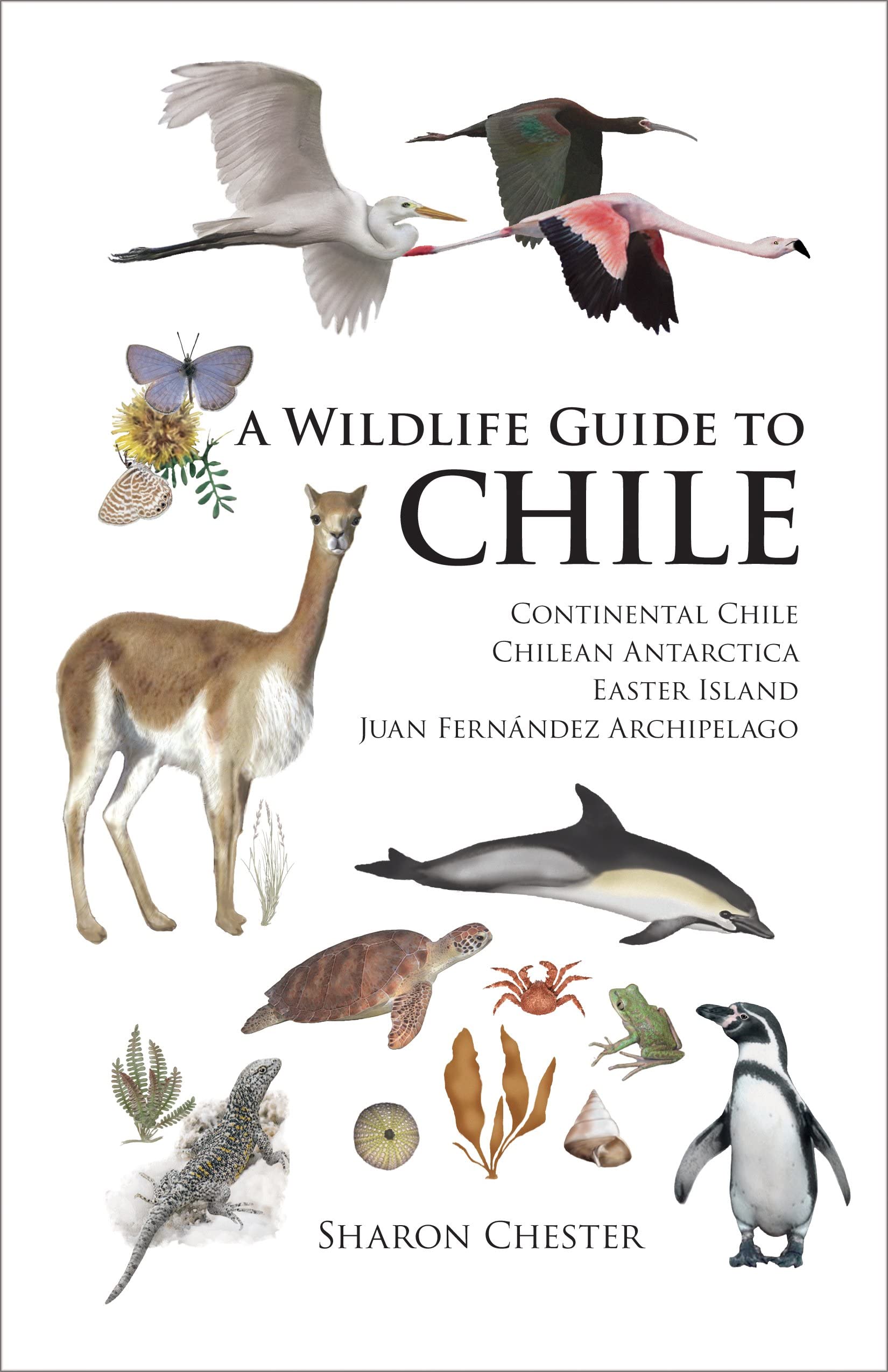 A Wildlife Guide to Chile: Continental Chile, Chilean Antarctica, Easter Island, Juan Fernndez Archipelago,Used