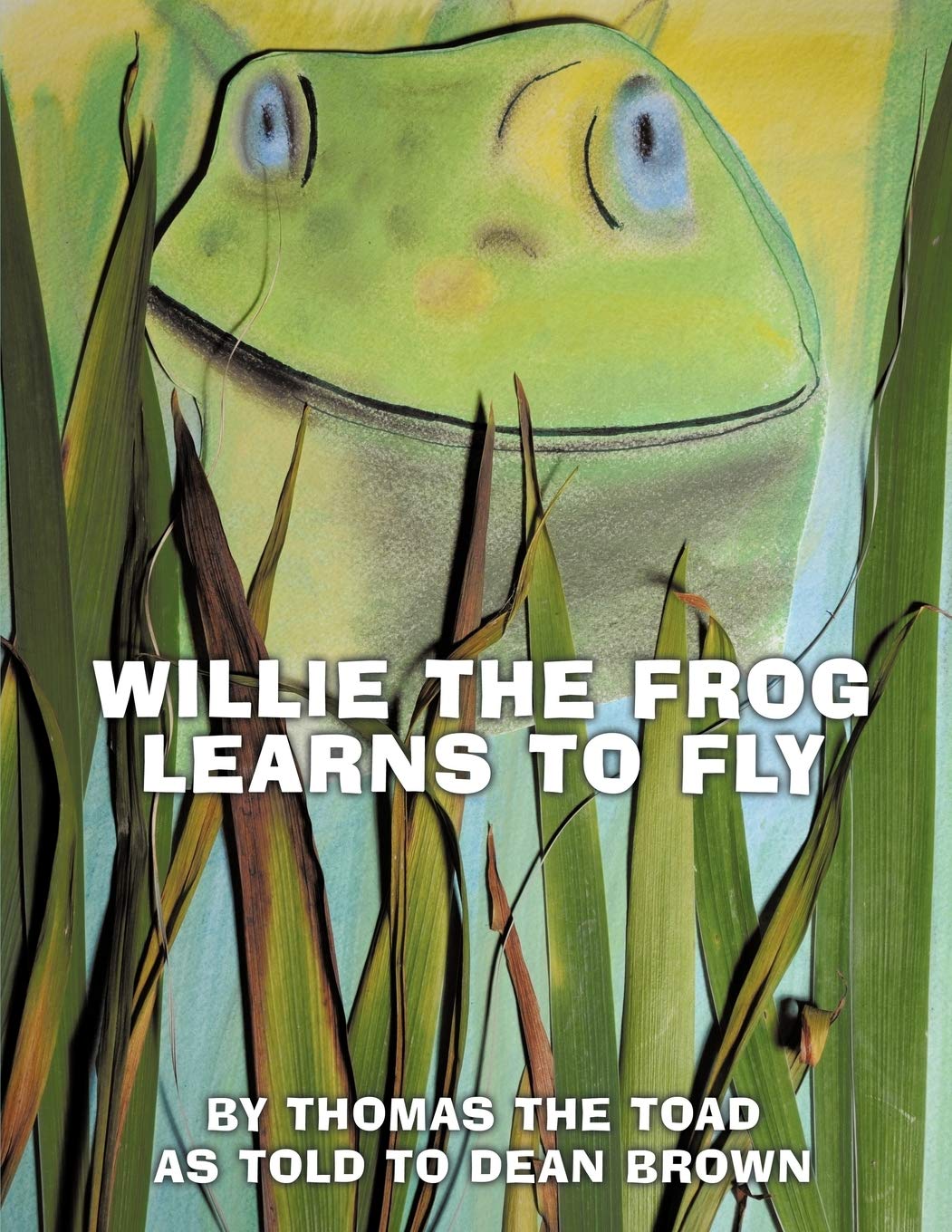 Willie the Frog Learns to Fly,Used