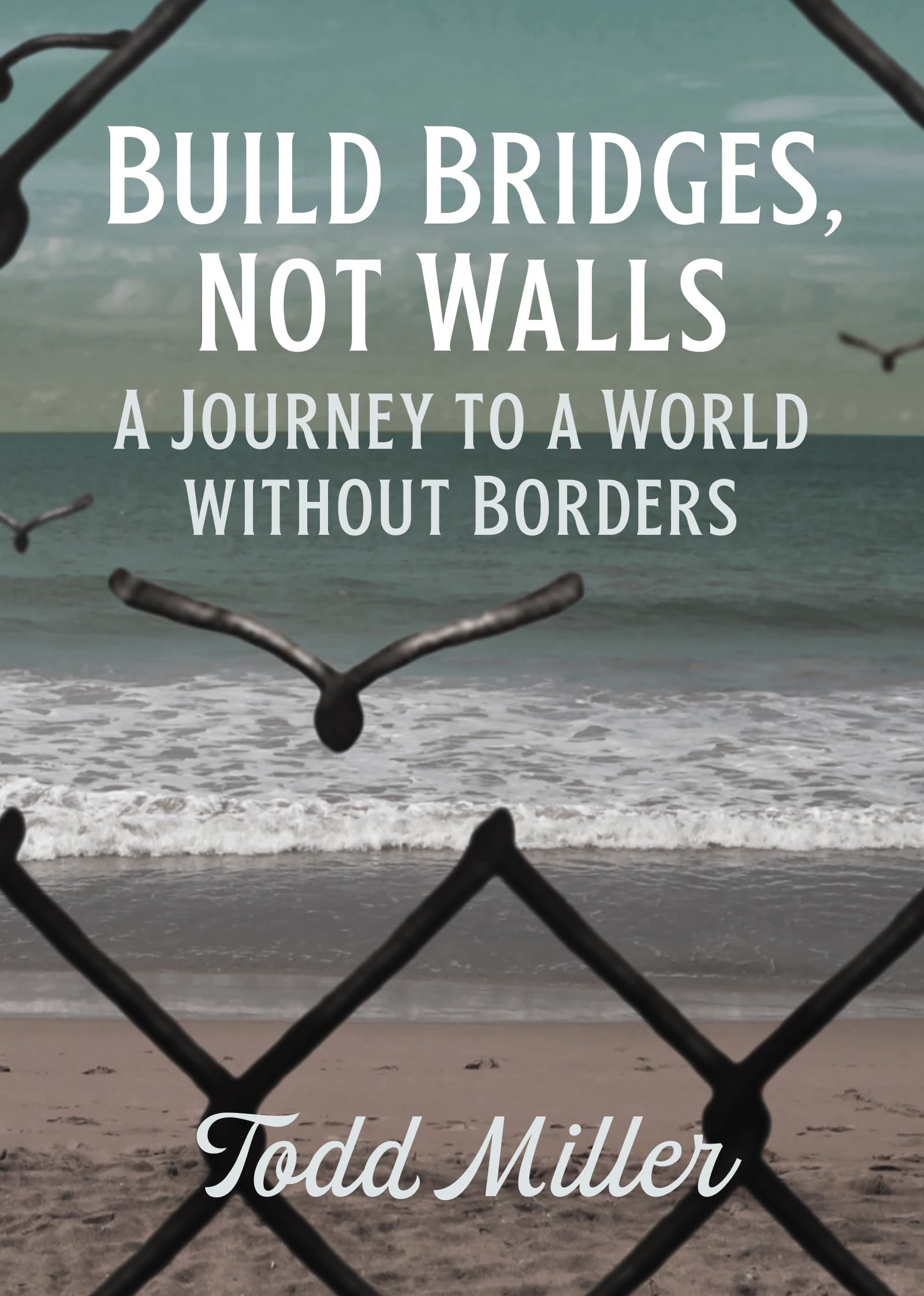 Build Bridges, Not Walls: A Journey to a World Without Borders (City Lights Open Media),Used