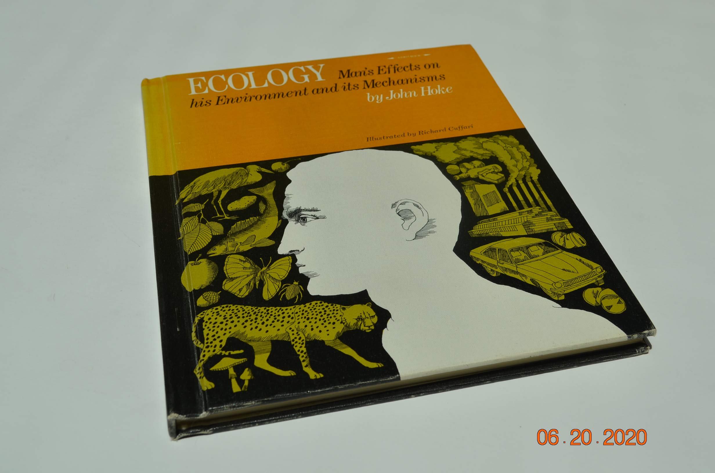Ecology (A First book),Used