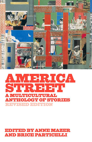 America Street: A Multicultural Anthology of Stories,Used