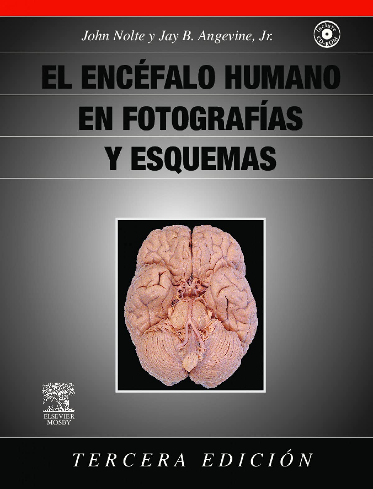 El encfalo humano en fotografas y esquemas (Spanish Edition),Used