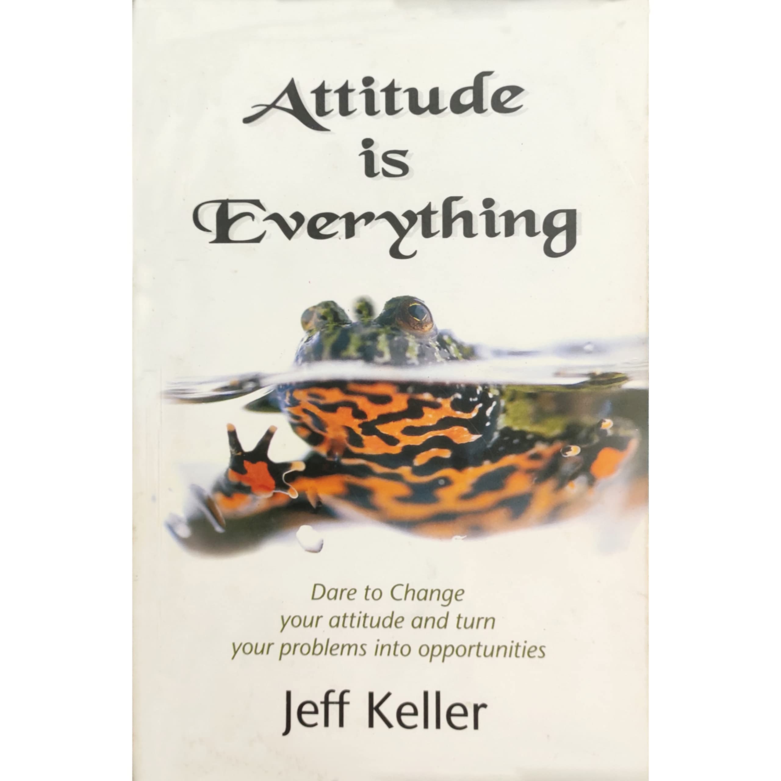 Attitude Is Everything: Change Your Attitude...and You Change Your Life!,Used
