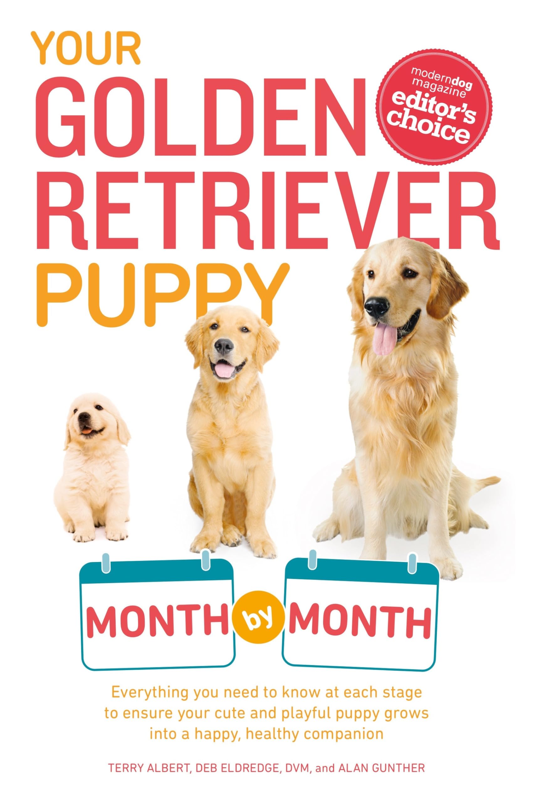 Your Golden Retriever Puppy Month by Month: Everything You Need to Know at Each Stage to Ensure Your Cute and Playful Puppy (You,New
