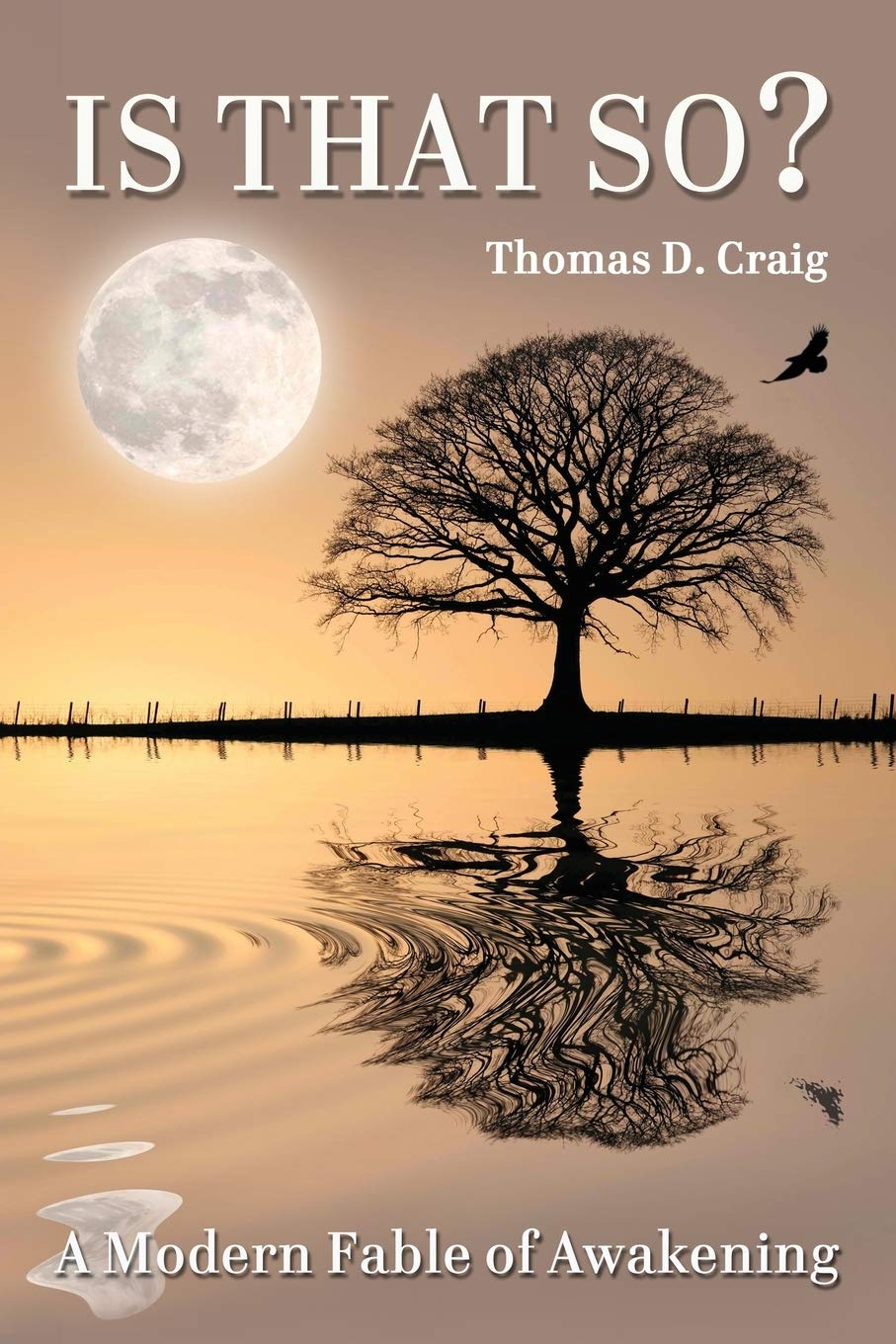 Is That So? A Modern Fable of Awakening,Used