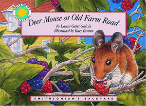 Deer Mouse At Old Farm Road  A Smithsonian'S Backyard Book