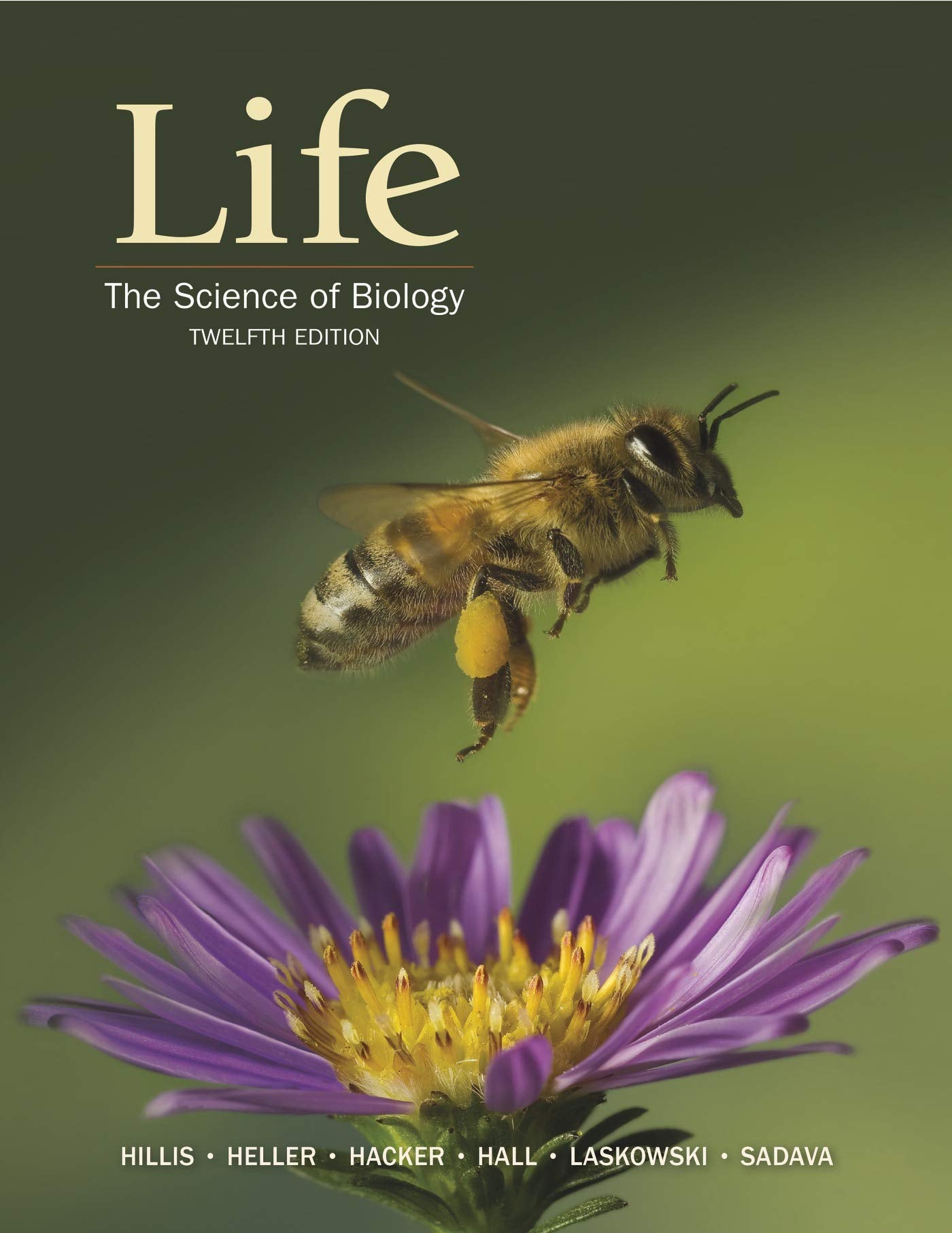 Life: The Science of Biology,Used