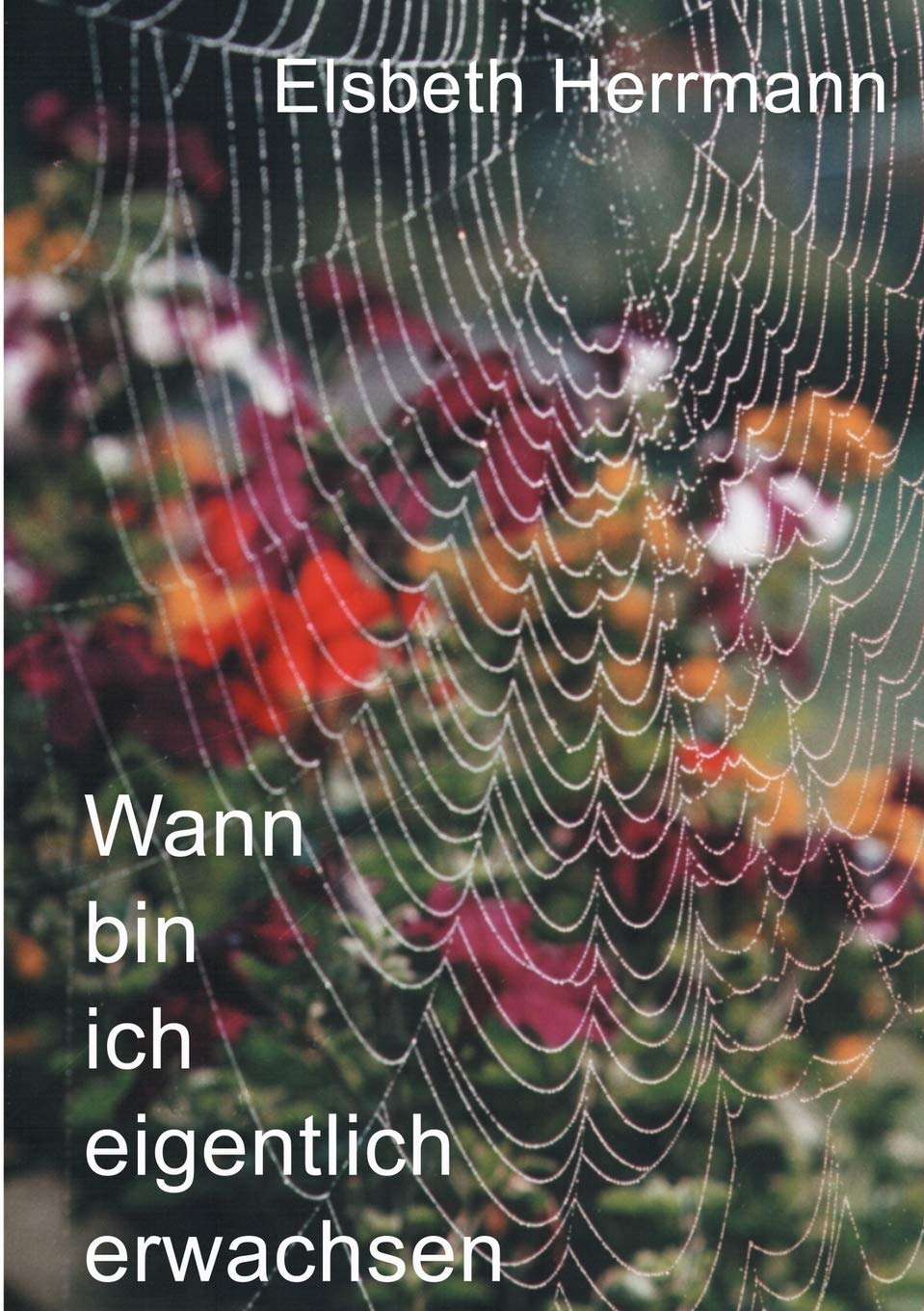Wann bin ich eigentlich erwachsen (German Edition),Used