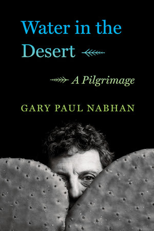 Water In The Desert: A Pilgrimage