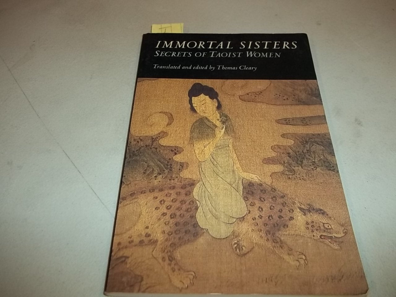Immortal Sisters: Secret Teachings of Taoist Women,Used