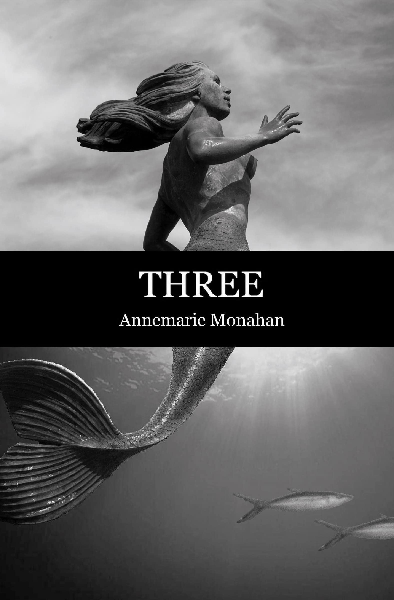 Three (Flashpoint Press),Used