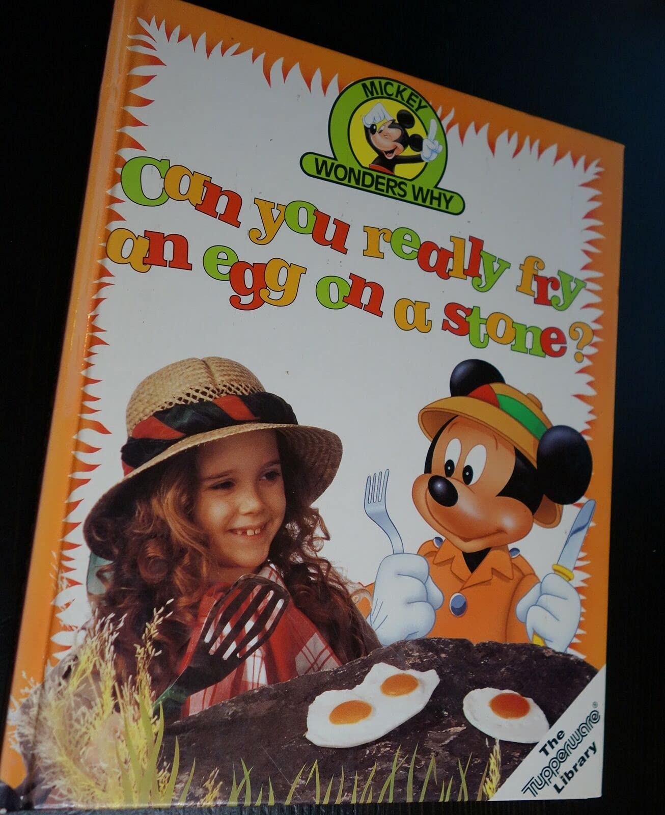 Can you really fry an egg on a stone? (Mickey wonders why),Used