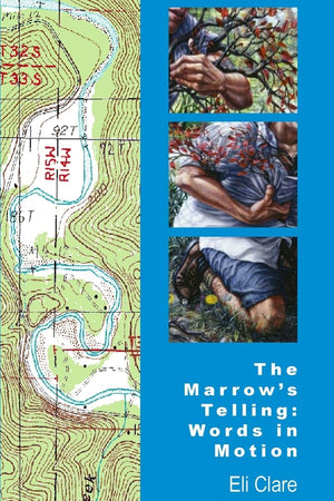 The Marrow'S Telling: Words In Motion,New