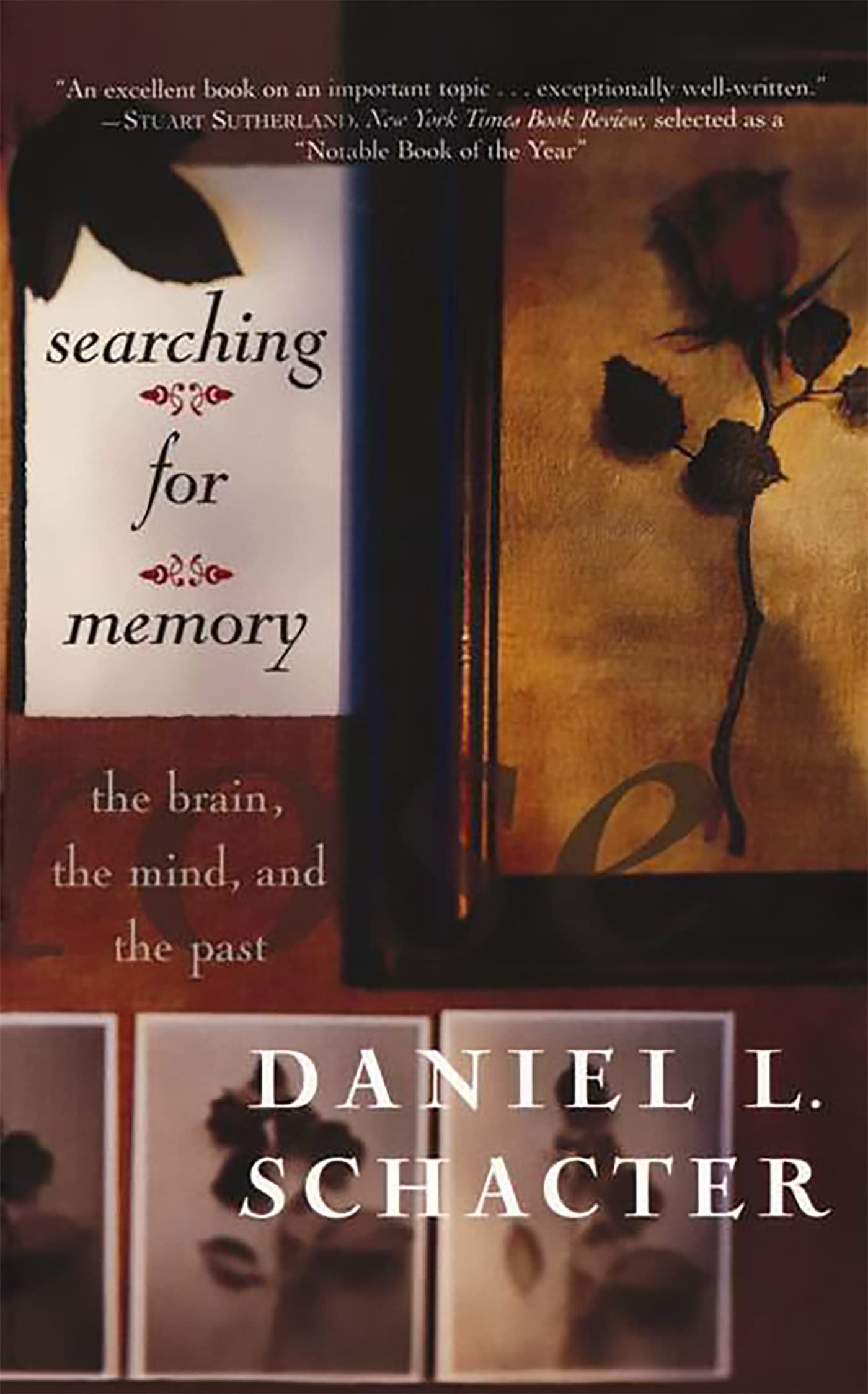 Searching For Memory: The Brain, The Mind, And The Past,Used