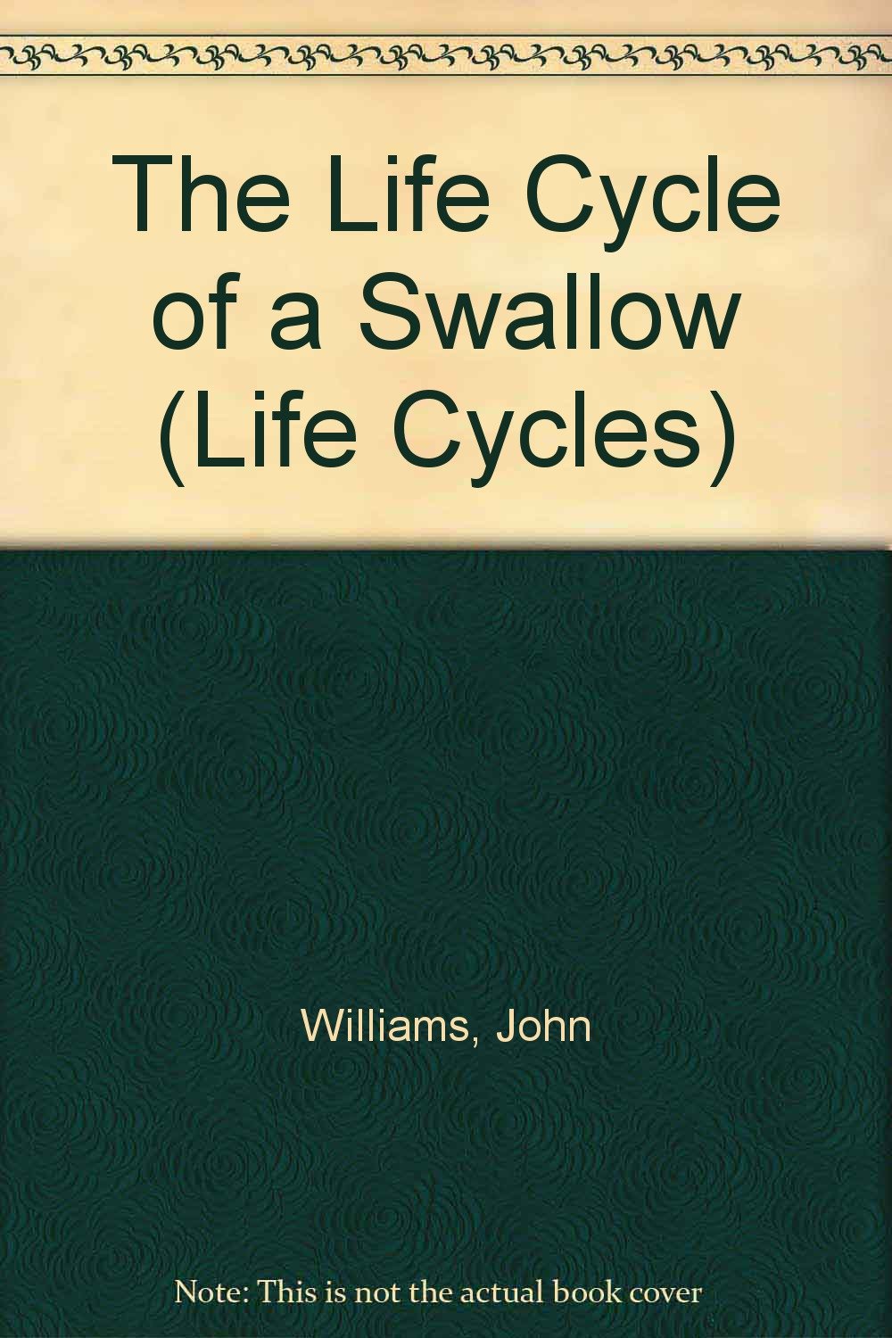 The Life Cycle of a Swallow (Life Cycles),Used