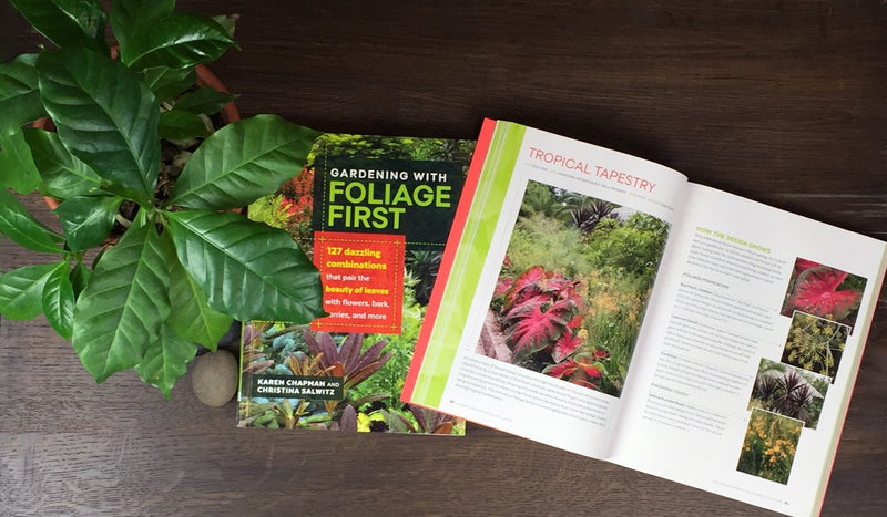 Gardening with Foliage First: 127 Dazzling Combinations That Pair the Beauty of Leaves with Flowers, Bark, Berries, and More,New