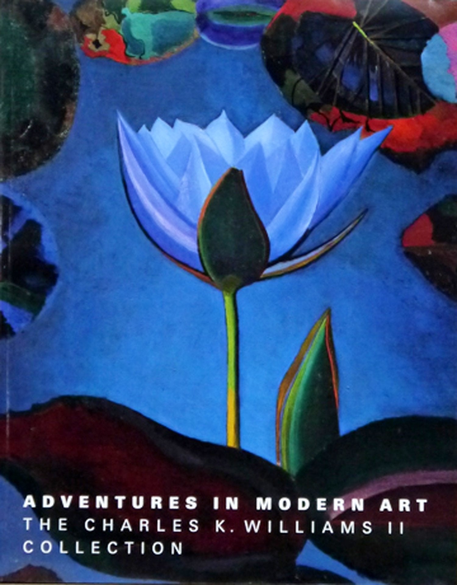 Adventures in Modern Art: The Charles K Williams II Collection,Used