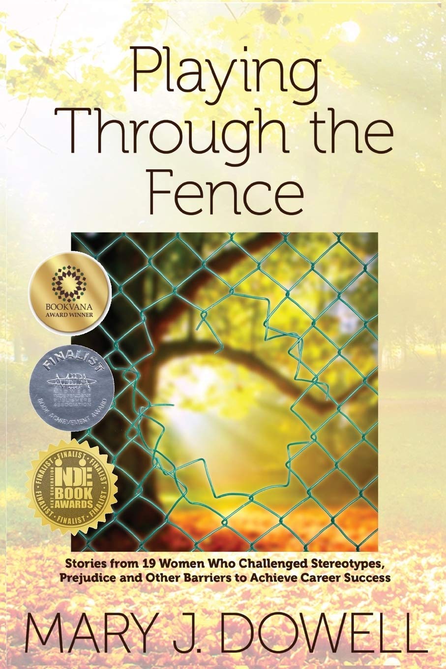 Playing Through the Fence,Used
