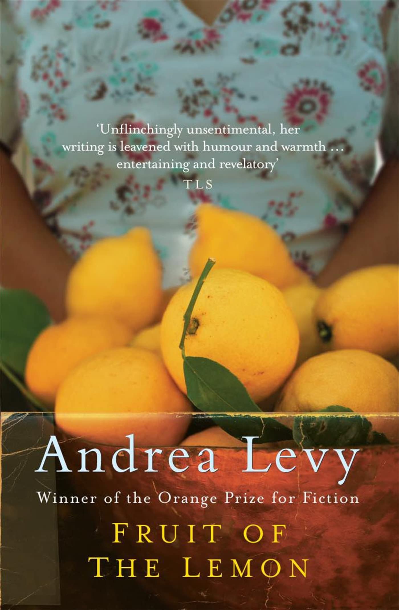 Fruit of the Lemon: Andrea Levy,Used