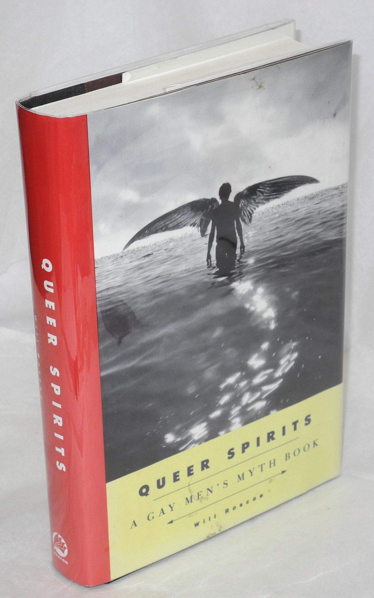 Queer Spirits: A Gay Men's Myth Book,Used