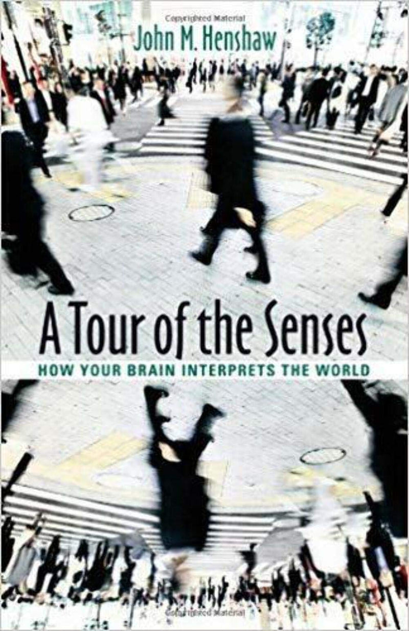 A Tour Of The Senses: How Your Brain Interprets The World