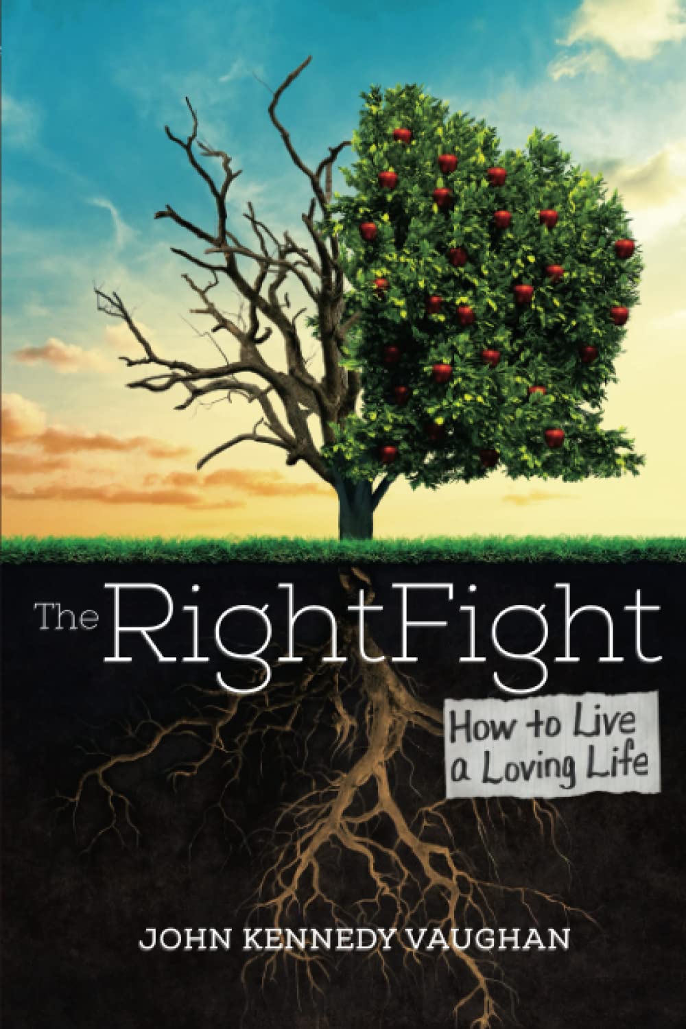 The Right Fight: How to Live a Loving Life,Used