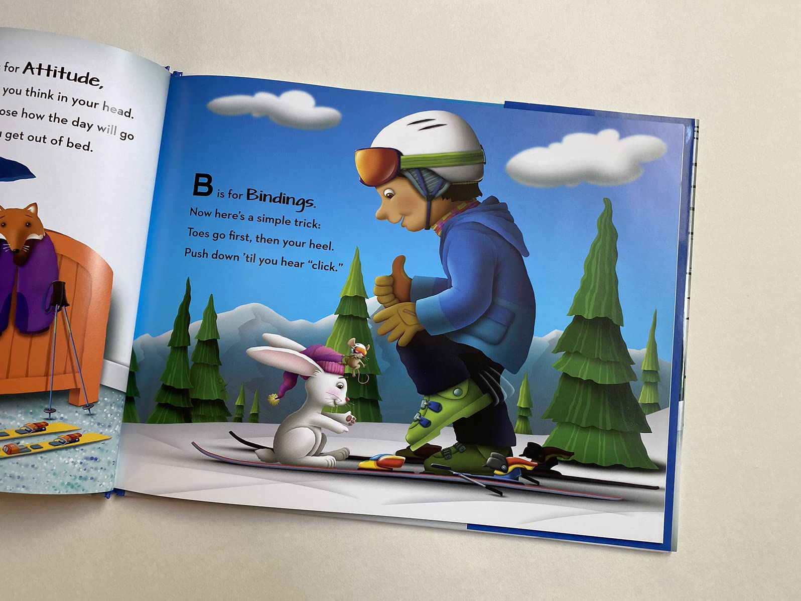 ABSkis: An alphabet book about the magical world of skiing,Used