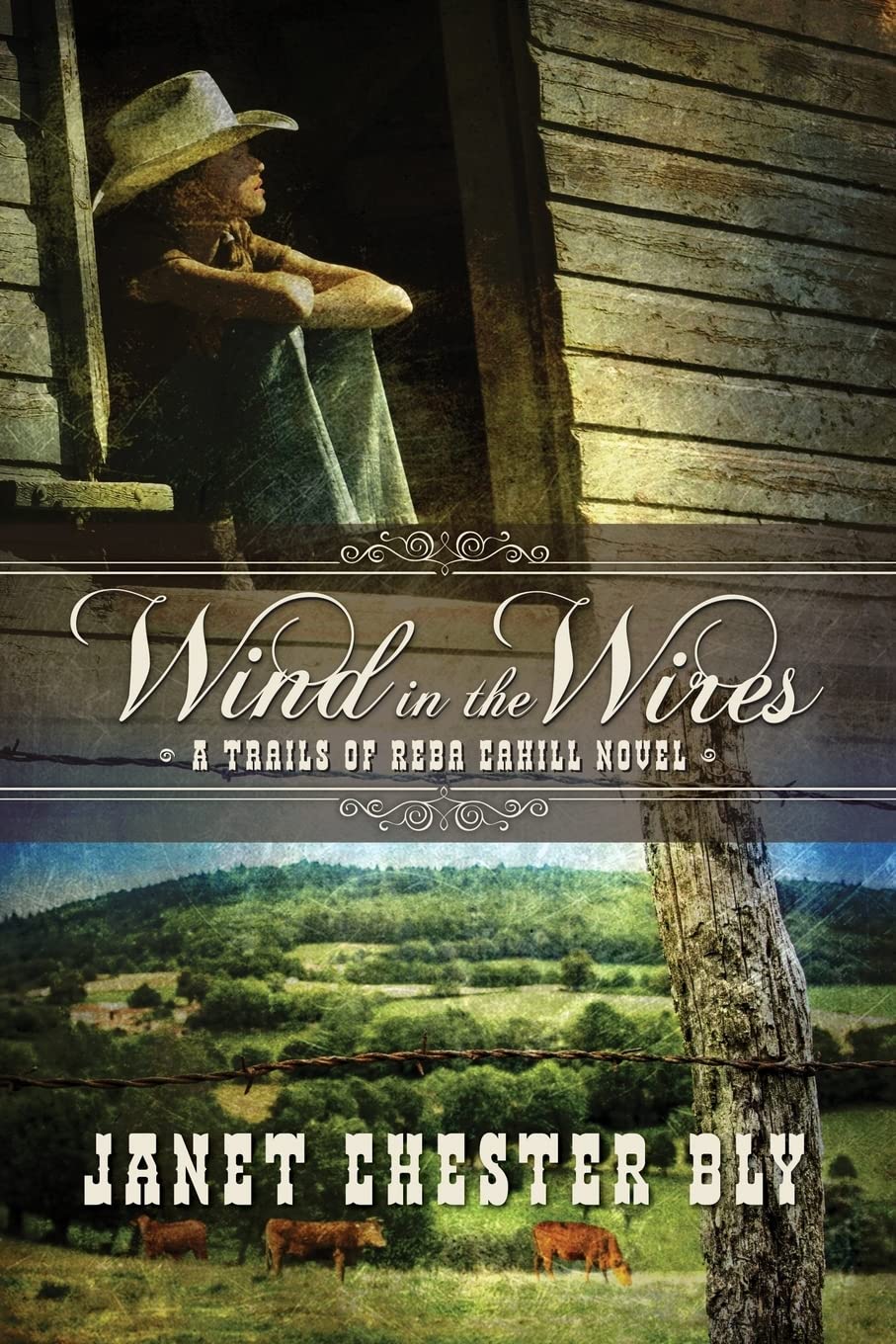 Wind in the Wires: A Trails of Reba Cahill Novel,Used