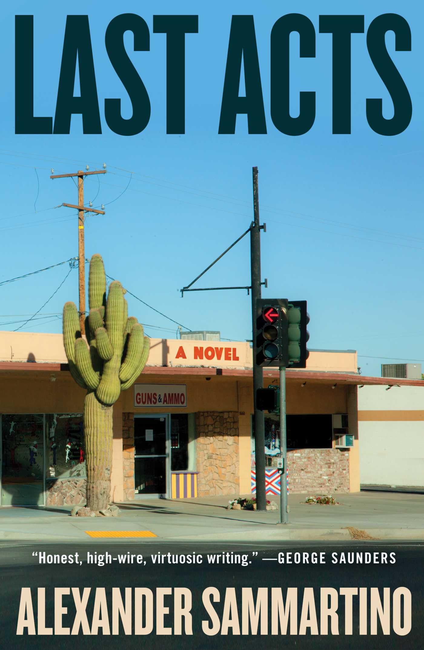 Last Acts: A Novel,New