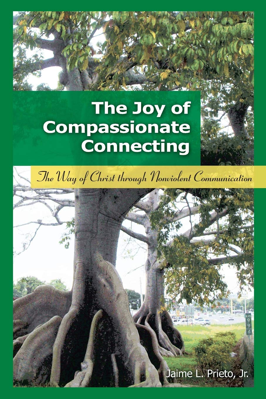 The Joy of Compassionate Connecting: The Way of Christ through Nonviolent Communication,Used