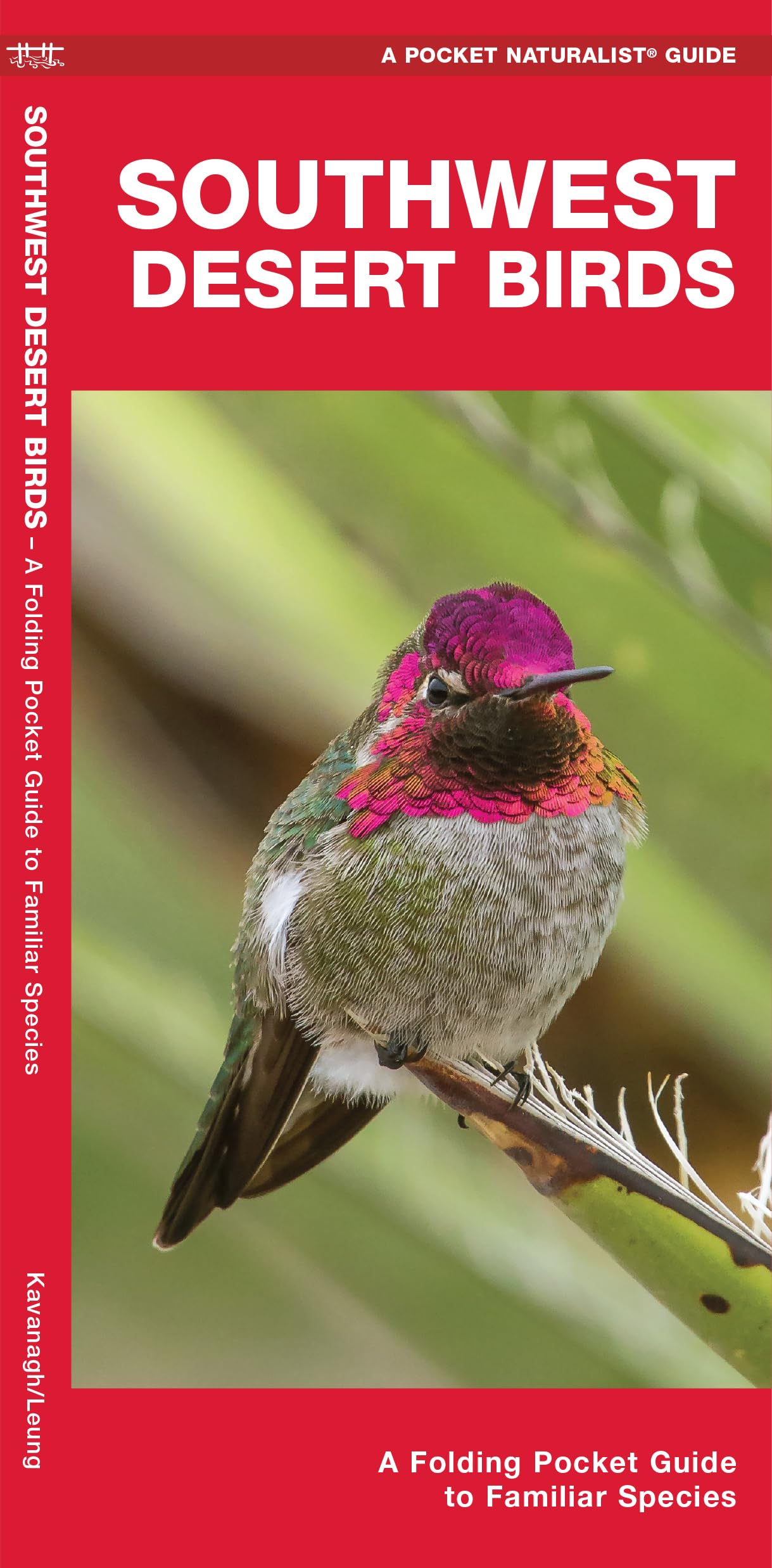 Southwestern Desert Birds: An Introduction to Familiar Species,Used