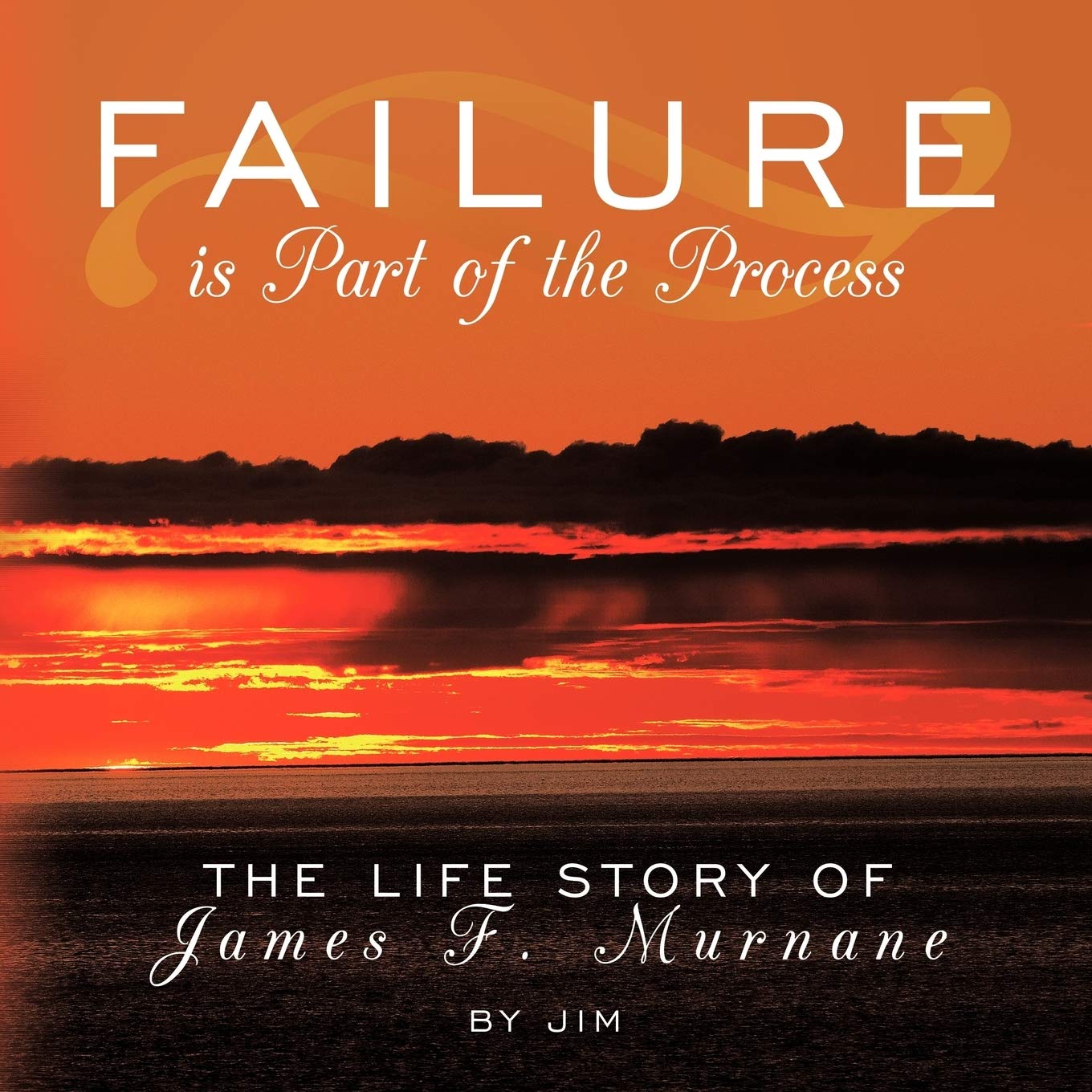 Failure Is Part of the Process: The Life Story of James F. Murnane,Used