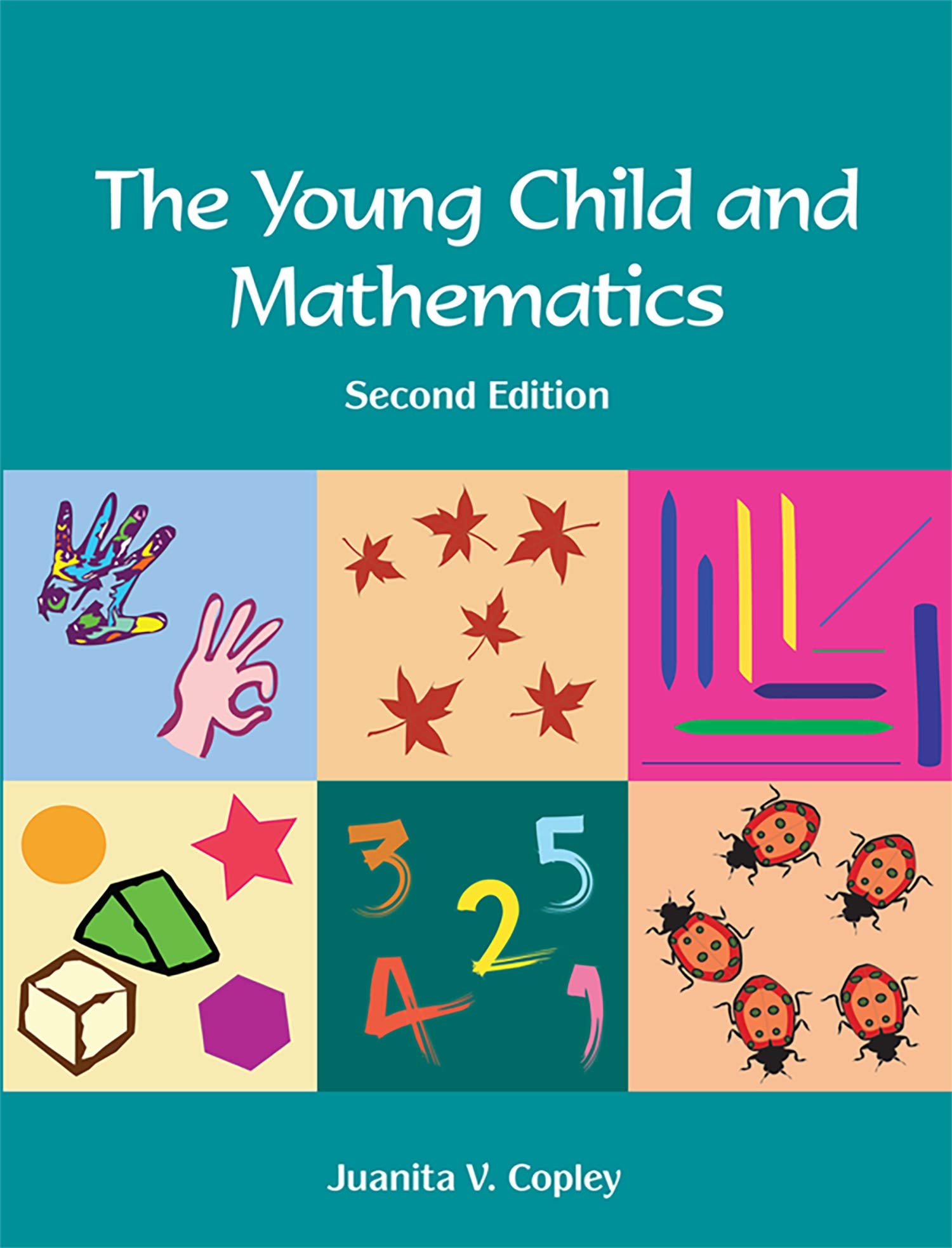 The Young Child and Mathematics,Used
