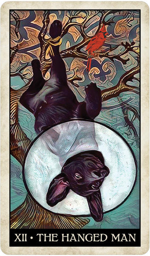 Wise Dog Tarot,Used