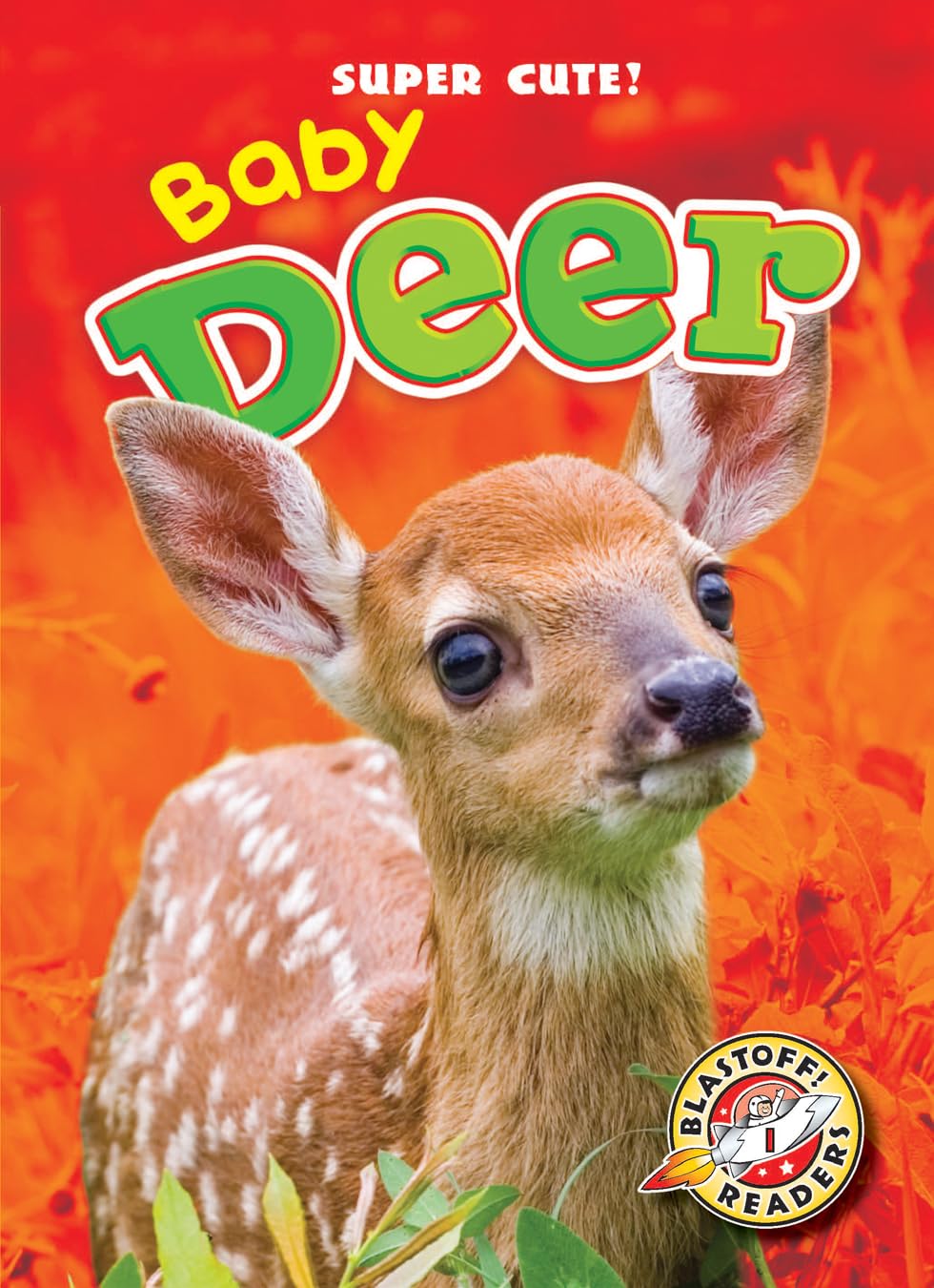 Baby Deer (Blastoff Readers: Super Cute!),Used