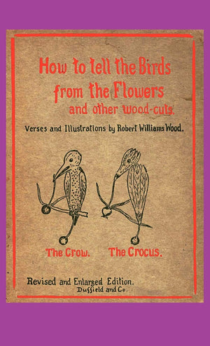 How to Tell the Birds from the Flowers,Used
