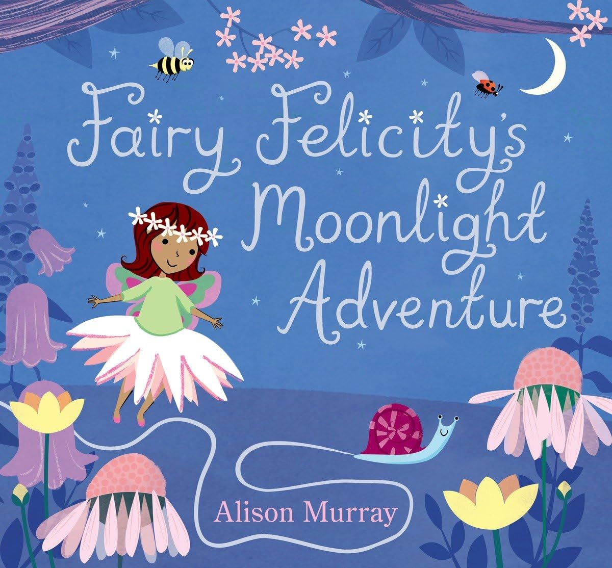 Fairy Felicity's Moonlight Adventure,Used