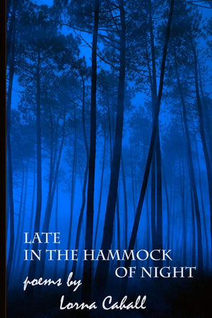 Late In The Hammock Of Night,Used